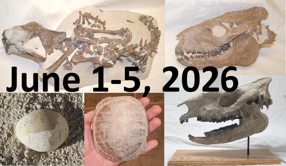 June 1-5 2026: 5 Day Fossil Hunting Access