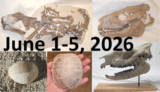 June 1-5 2026: 5 Day Fossil Hunting Access