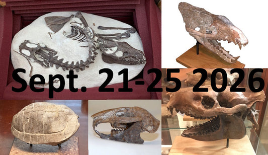 Sept 21-25 2026: 5 Day Fossil Hunting Access